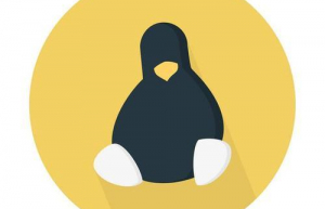 Linux系统script命令详解