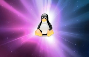 Linux下查看端口占用