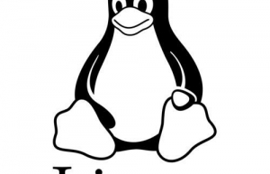 Linux查看历史命令