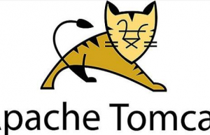 Linux启动tomcat服务