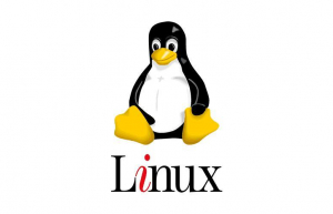 Linux下10个常用的网络命令