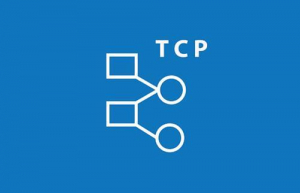 Linux查看TCP连接数