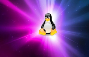 Linux ss命令