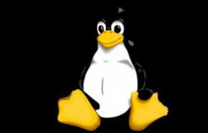 Linux永久修改主机名