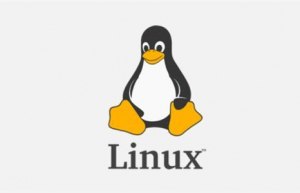 Linux查看进程运行位置