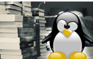 Linux上使用xargs命令