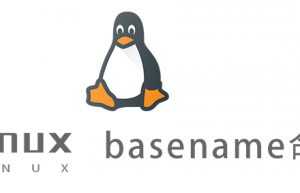 Linux常用命令—basename命令