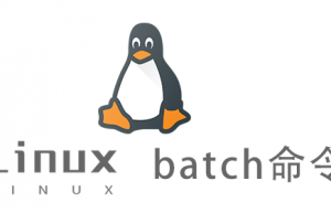 Linux常用命令—batch命令
