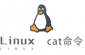 Linux常用命令—cat命令