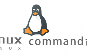 Linux常用命令—command命令