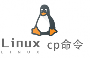 Linux常用命令—cp命令