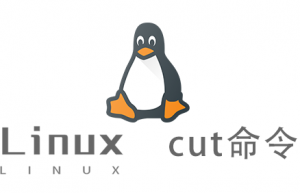 Linux常用命令—cut命令