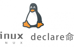 Linux常用命令—declare命令