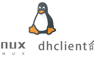 Linux常用命令—dhclient命令