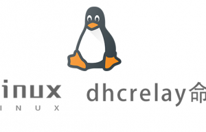 Linux常用命令—dhcrelay命令