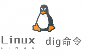 Linux常用命令—dig命令