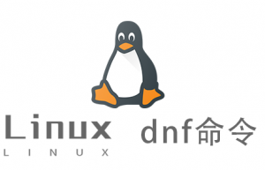 Linux常用命令—dnf命令