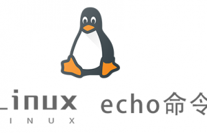 Linux常用命令—echo命令