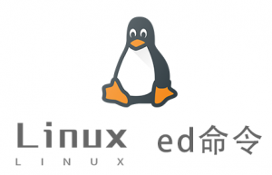Linux常用命令—ed命令