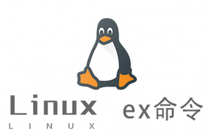 Linux常用命令—ex命令