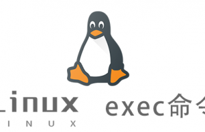 Linux常用命令—exec命令