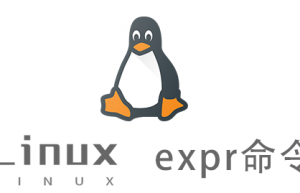 Linux常用命令—expr命令