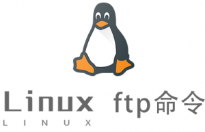 Linux常用命令—ftp命令