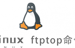 Linux常用命令—ftptop命令