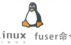 Linux常用命令—fuser命令