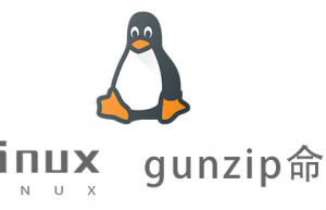 Linux常用命令—gunzip命令