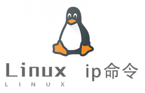 Linux常用命令—ip命令