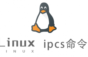 Linux常用命令—ipcs命令