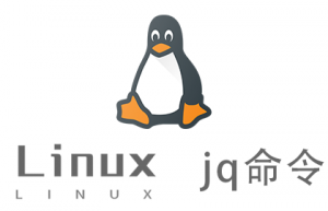 Linux常用命令—jq命令