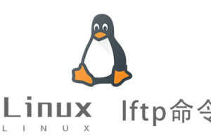 Linux常用命令—lftp命令