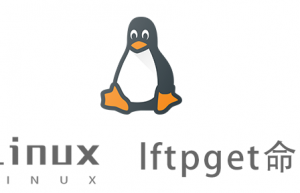 Linux常用命令—lftpget命令