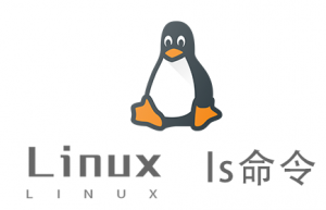 Linux常用命令—ls命令