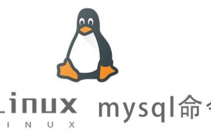 Linux常用命令—mysql命令