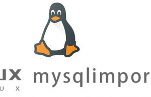 Linux常用命令—mysqlimport命令
