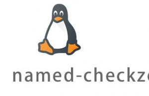 Linux常用命令—named-checkzone命令