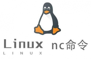 Linux常用命令—nc命令