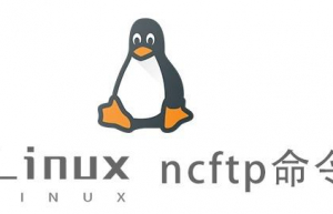 Linux常用命令—ncftp命令