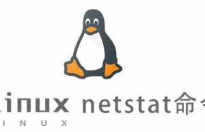 Linux常用命令—netstat命令