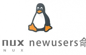 Linux常用命令—newusers命令