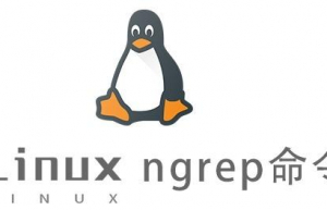Linux常用命令—ngrep命令