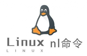 Linux常用命令—nl命令