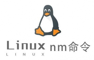 Linux常用命令—nm命令