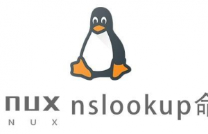 Linux常用命令—nslookup命令
