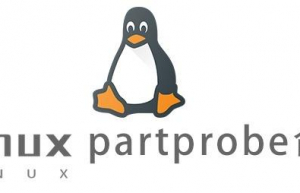 Linux常用命令—partprobe命令