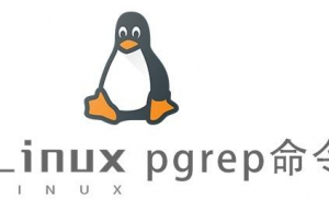Linux常用命令—pgrep命令