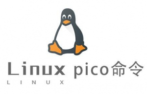 Linux常用命令—pico命令